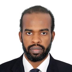 mohieldin  hussien mohamed