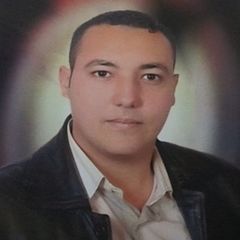 مصطفي محمود مصطفي محمد البهائي, مراجع حسابات مخازن