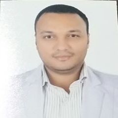 Sayed Besher PMP, Project manager