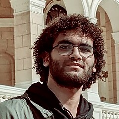 Mohamed Alaa