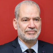 El Sayed Mustafa El Talawy, Group HR GRS Services Director 