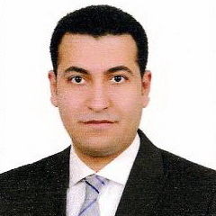 Ali  Mahmoud