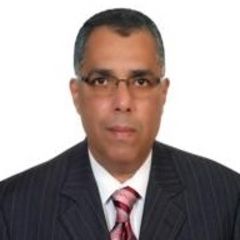 Ahmed  Nabil Aboutaleb, Consultant