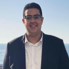 Bassem Mohamed  Farouk