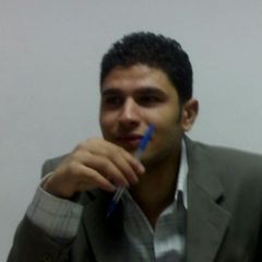 Mohamed Salah Mohamed Saleh, Chief Accountant