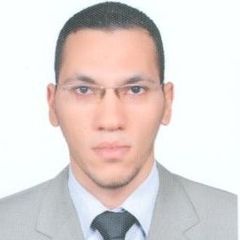 Ahmed Anwar Mohamed Mahmoud, Procurement And Logistics Manager