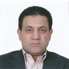 هشام أحمد محمد Abou Alfotouh, Ceo