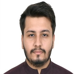 Syed Haisum احسن, Production Analyst