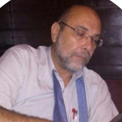 Atef Mamdouh, مدير المزاد