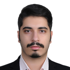 Hooman Javanbakht, Python Software Developer