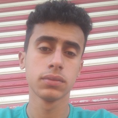 yousif Elghawi