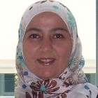 Manar ElKholy, Assistant to the Management