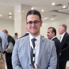 Ibrahim  Sabahy, supply chain and procurement manager