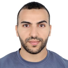 Ayoub Afrid, Electronic Assistant Engineer