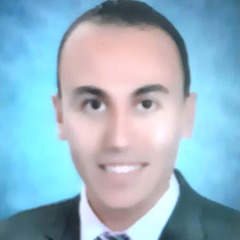 محمد السيد حسين, محاسب