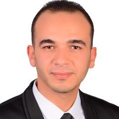 مجدي ابوزيد, HSE Officer