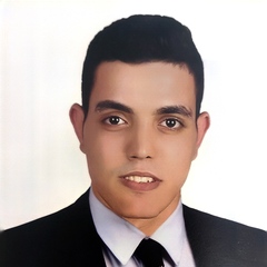 Fathy Arafa