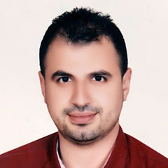 Ahmed Redwan, Consultant
