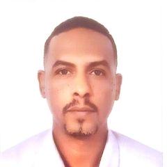 Hazem Mohamed Abdelrhman   Fadl, Media expert 