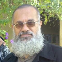 mokhtar abdellatif mohamed ahmed masoud, Health & safety manager