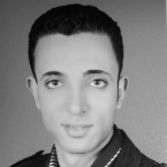 Emad Morkous Farez Salama, Sales Executive