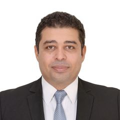 حسن محمد حسن محمد, IT Manager