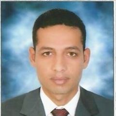 sherif ashour, Sales Executive