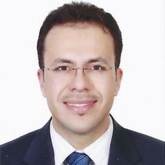 Baraa Al Mousa, Task Force Product Expert