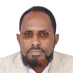 Mohammed AbdelRahman Mohammed, Project Manager 