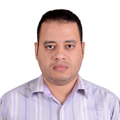 Mohamed Fouda, Chief Accountant