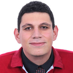 Salim Deeb, Software Engineer