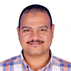 Mohammad Fathy Abulhasan Mahmoud, Senior Teacher of English