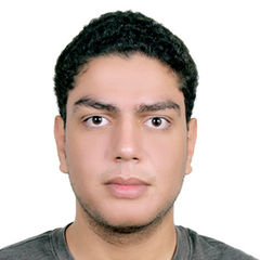 Diaa Osama Abdel Azim Mohamed, Growth Manager