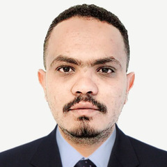 Mohamed Fagiree