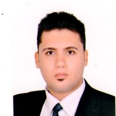 Ahmed Shosha, Project Site Manager