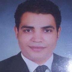 ابراهيم كمال ابراهيم احمد, Web Designer/Developer