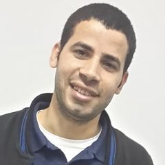 Alaa Mahmoud Hamdy, System Engineer