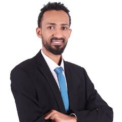 Mahgoub Fakhry, Technical Sales Engineer