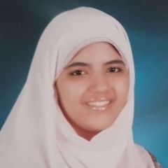Aya ElToukhy, Research Assistant 