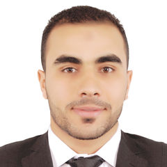 أحمد الشناوي, Geographic Information Systems Coordinator (GIS Coordinator)