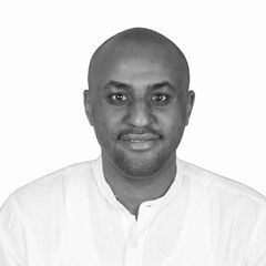 محمد الفاتح بشير, IT Consultant
