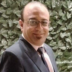 Ahmed Hady Hady