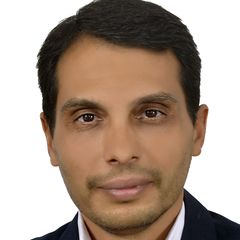 Hashem Roshanaie, Chief Executive Officer (CEO)