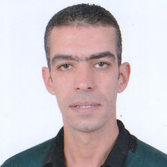 emad samir younes, Accounting manager