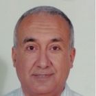 Amr Elalfy, General manager