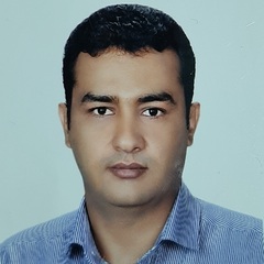 Navid shahrokhi 