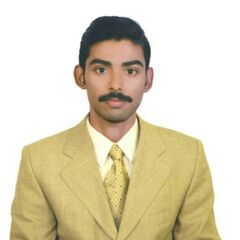 Prajeesh Prabhakaran, Procurement Executive