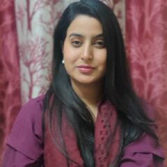 Hafsa Mushtaq, Software Engineer