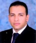 Mohamed Gaber, Technical Project Manager