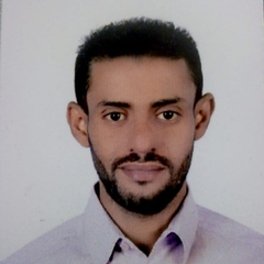 Mohamed Hassan Ibrahim